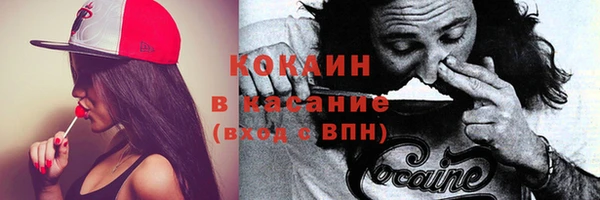 ПСИЛОЦИБИНОВЫЕ ГРИБЫ Алзамай