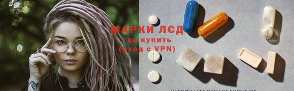 ПСИЛОЦИБИНОВЫЕ ГРИБЫ Алзамай