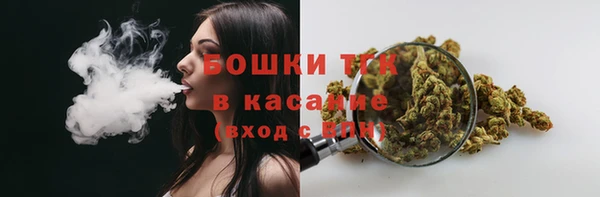 ПСИЛОЦИБИНОВЫЕ ГРИБЫ Алзамай