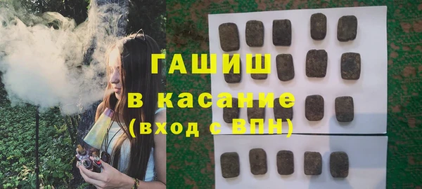 гидра Абаза
