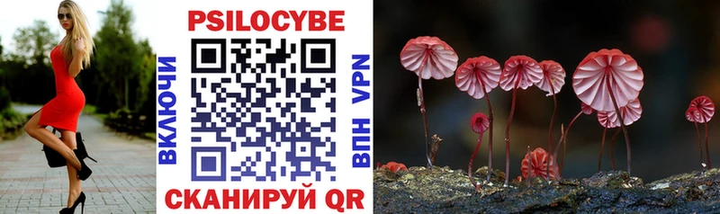 Псилоцибиновые грибы Psilocybine cubensis  MEGA как зайти  Новотитаровская  купить наркотики цена 