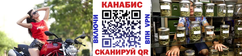 купить   Новотитаровская  мега   Шишки марихуана VHQ 